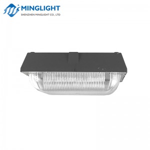 LED baldachinos világítás CNPA 100W